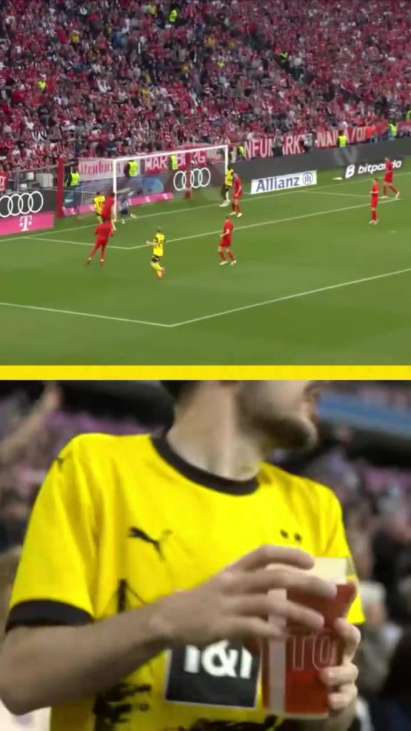 勇者無懼！這是真多特球迷！在拜仁球迷區(qū)一個人肆意慶祝！